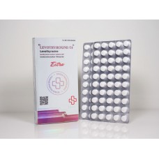 BELIGAS LEVOTHYROXINE-T4 (LEVOTHYROXINE)