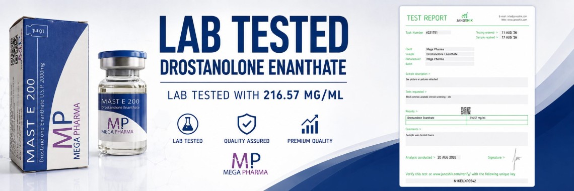 MegaDrostE