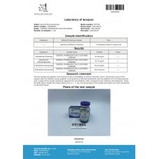 GENERAL PHARMACEUTICALS SUSTANON