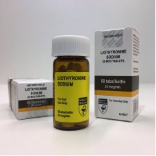 T3 (LIOTHYRONINE SODIUM) T3 (LIOTHYRONINE SODIUM)