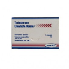 1 PACKUNG TESTOSTERONE ENANTHATE NORMA GREECE